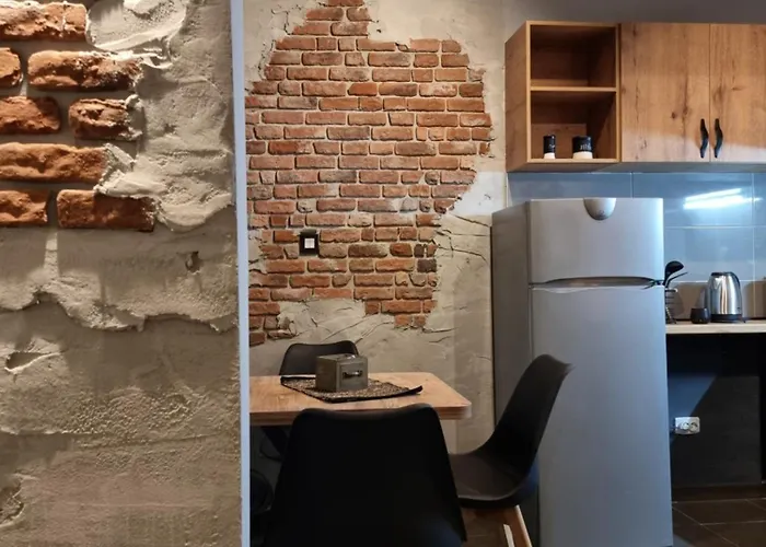 Lägenhet Vintage Luxe Loft - Centar