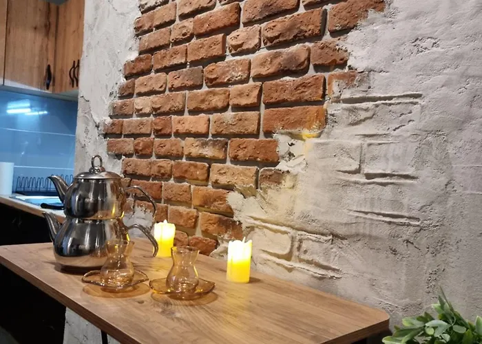 Vintage Luxe Loft - Centar Lägenhet